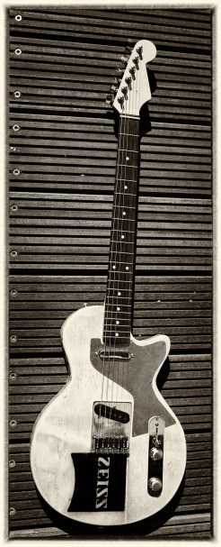 Zeisscaster_Front_Auf_Planke_SW